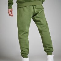 Spodnie męskie JORDAN SPODNIE M J ESS FLC fj7779-340 kolor khaki