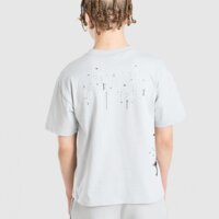 Koszulka dziecięca SUPPLY&DEMAND T-SHIRT OPOLIS TEE suptjb18457020 kolor szary