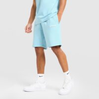 Męskie spodenki MCKENZIE SZORTY FLEECE TYPE mcktm17159576 kolor niebieski