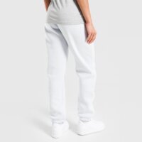 Spodnie damskie JORDAN SPODNIE W J BROOKLYN FLEECE  fv7077-043 kolor szary