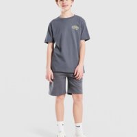 Koszulka dziecięca MCKENZIE T-SHIRT ANSON TEE mcktjb17137061 kolor szary