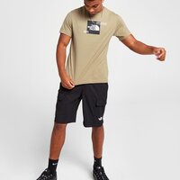 Koszulka męska THE NORTH FACE T-SHIRT BOX NOTES T FLAX tee2 kolor beżowy