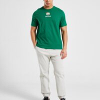Koszulka męska NEW ERA T-SHIRT BOSTON CELTICS 60669960 kolor zielony