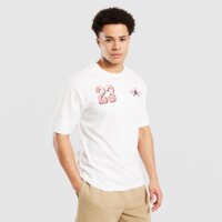 Koszulka męska JORDAN T-SHIRT M J BRK VRSTY GFX SS CREW if3127-100 kolor biały