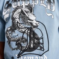 Koszulka dziecięca SUPPLY&DEMAND T-SHIRT DRAGON suptjb17511640 kolor niebieski