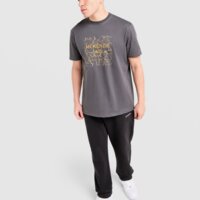 Koszulka męska MCKENZIE T-SHIRT QUARTZ mcktm17108064 kolor szary