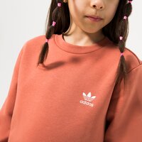 Bluza dziecięca ADIDAS BLUZA CREW BOY hk2903 kolor brązowy