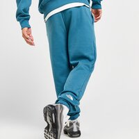 Spodnie męskie THE NORTH FACE SPODNIE M CHANGLA PANT nf0a88aqq311 kolor zielony