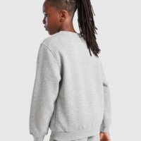 Bluza dziecięca NIKE BLUZA K NSW CLUB FLC CREW LS LBR fd3006-067 kolor szary