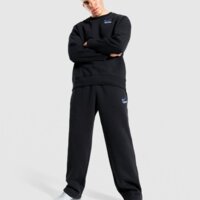 Spodnie męskie NIKE SPODNIE M NK CLUB BB FLC BOTTOM SILHO iq2759-010 kolor czarny