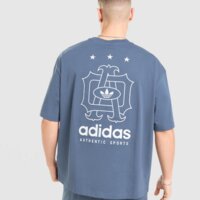 Koszulka męska ADIDAS T-SHIRT OS GFX ku7781 kolor niebieski