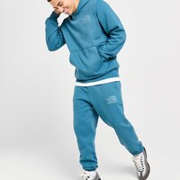 Spodnie męskie THE NORTH FACE SPODNIE M CHANGLA PANT nf0a88aqq311 kolor zielony