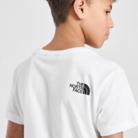 Koszulka dziecięca THE NORTH FACE T-SHIRT MOUNTAIN T WHITE nf0a8egsfn41 kolor biały