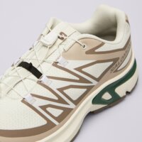 Męskie buty SALOMON XT-EVR M l47917600 kolor beżowy
