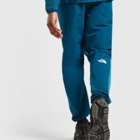 Spodnie męskie THE NORTH FACE SPODNIE PERF PANT MID.PET nf0a8ajr1no1 kolor zielony