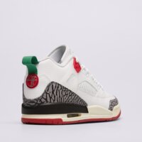 Buty dziecięce JORDAN SPIZIKE LOW fq3950-109 kolor biały