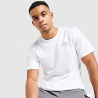 Koszulka męska THE NORTH FACE T-SHIRT M REFLECTIVE SIMPLE DOME nf0a8hdbfn41 kolor biały