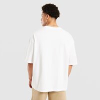 Koszulka męska JORDAN T-SHIRT M J FLT GFX OVSZ SS CREW if3133-100 kolor biały