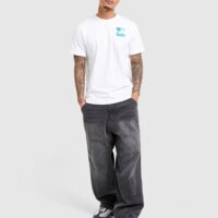 Koszulka męska THE NORTH FACE T-SHIRT REGULAR PHOTO MIX RAIN nf0a8hd9fn41 kolor biały