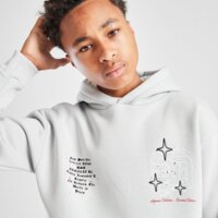 Bluza dziecięca SUPPLY&DEMAND BLUZA Z KAPTUREM VITO OH HD suptjb17928020 kolor szary