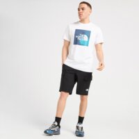 Koszulka męska THE NORTH FACE T-SHIRT GRAD BOX T WHT/BLUE nf0a8ehbfn41 kolor biały