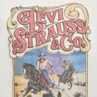 Koszulka damska LEVI'S T-SHIRT GRAPHIC BOXY TSHIRT WHITES a8804-0049 kolor biały