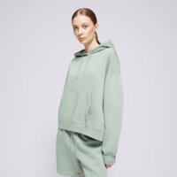 Damska bluza JORDAN BLUZA Z KAPTUREM W J BRKLN FLC PO fn4488-304 kolor zielony