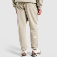 Spodnie męskie THE NORTH FACE SPODNIE SMALL BOX nf0a8cax8zo1 kolor beżowy