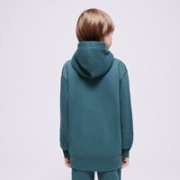 Bluza dziecięca JORDAN BLUZA Z KAPTUREM JDB MJ BROOKLYN FLC PO BOY 95d232-ei8 kolor zielony