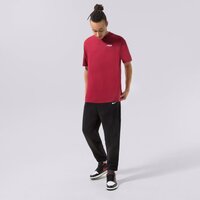 Koszulka męska FILA T-SHIRT DRINGO ss23spm229337 kolor bordowy