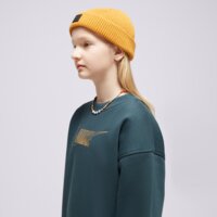 Bluza dziecięca NIKE BLUZA G NSW CLUB FLC BF CREW LS SHNE GIRL fj6161-328 kolor zielony