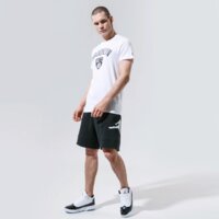 Koszulka męska NEW ERA T-SHIRT SS NBA TOP 6 BROOKLYN NETS BROOKLYN NETS WHI 11530756 kolor biały