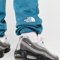 Spodnie męskie THE NORTH FACE SPODNIE M CHANGLA PANT nf0a88aqq311 kolor zielony