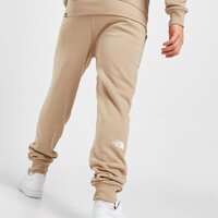 Spodnie męskie THE NORTH FACE SPODNIE FINE BOX PANT FLAX pant3 kolor beżowy