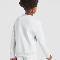 Bluza dziecięca NIKE BLUZA K NSW CLUB FLC CREW LS LBR B fd3006-025 kolor szary