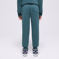 Spodnie dziecięce JORDAN SPODNIE JDB MJ BROOKLYN FLC ESS PANT BOY 95d234-ei8 kolor zielony