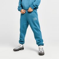 Spodnie męskie THE NORTH FACE SPODNIE M CHANGLA PANT nf0a88aqq311 kolor zielony