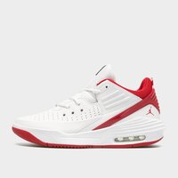 Męskie buty JORDAN MAX AURA 5  dz4353-106 kolor biały