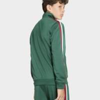 Bluza dziecięca ADIDAS BLUZA ROZPINANA FIREBIRD kc7051 kolor zielony