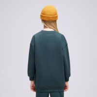 Bluza dziecięca NIKE BLUZA G NSW CLUB FLC BF CREW LS SHNE GIRL fj6161-328 kolor zielony