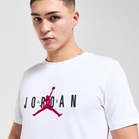 Koszulka męska JORDAN T-SHIRT M J JDN AIR STRETCH SS CREW hq1893-100 kolor biały