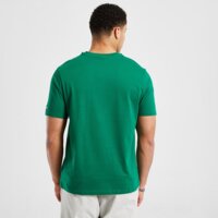 Koszulka męska NEW ERA T-SHIRT BOSTON CELTICS 60669960 kolor zielony
