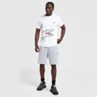 Męskie spodenki LACOSTE SZORTY gh9737_6sy kolor szary