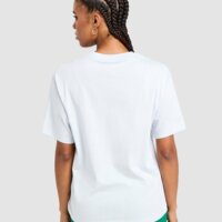 Koszulka damska JORDAN T-SHIRT ESSENTIALS fn4500-043 kolor szary
