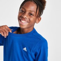 Koszulka dziecięca ADIDAS T-SHIRT CORE LGO T L'BLU B ik2868 kolor niebieski