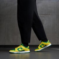 Męskie buty NIKE DUNK LOW RETRO dv0833-300 kolor zielony