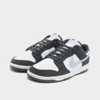 Męskie buty NIKE DUNK LOW ib3079-100 kolor szary