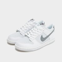 Buty dziecięce NIKE DUNK LOW GS fv0365-100 kolor biały