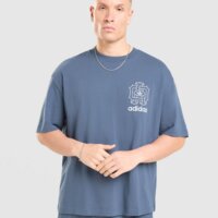 Koszulka męska ADIDAS T-SHIRT OS GFX ku7781 kolor niebieski