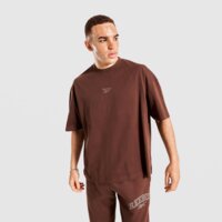 Koszulka męska REEBOK T-SHIRT DANNY VARSITY 100240565 kolor brązowy